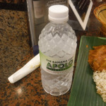 The Banana Leaf Apolo - 