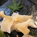 圭蔵 - 白バイ貝