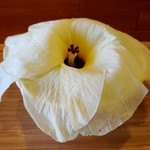 がふうあん - オクラの花