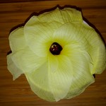 がふうあん - オクラの花