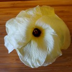 がふうあん - オクラの花