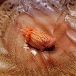 すし処 みや古分店 - 赤貝