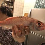 勇ずし - のどぐろ焼くよ−