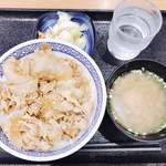Yoshinoya - 新味豚丼+Bセット様