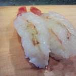 角喜鮨 - ぼたんえび