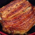 特撰丼のアップ。