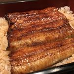 Unagi Sakata - 