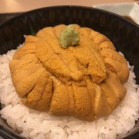 函館うに むらかみ 日本生命札幌ビル店 - うに丼 80g