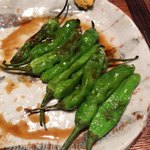 鳥茂 - ししとう