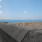 嘉っちゃん本舗 - 店から見た海