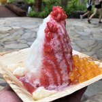 Island Vintage Shave Ice - 