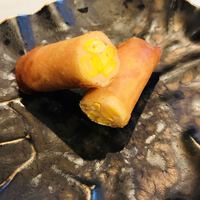 CINA New Modern Chinese - 