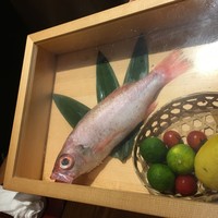 のどぐろ専門 銀座 中俣 - 