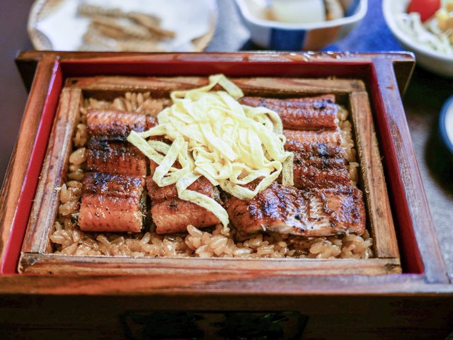 富松 うなぎ 屋 黒田 本店 富松うなぎ屋 荒木店 Amp Petmd Com
