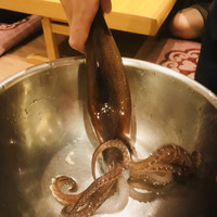 烏賊 鮨ダイニング 鮮助 大宮東口本店 - 