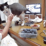 ヤオヨシ - 食べてみた