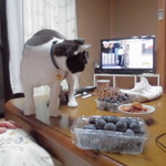 ヤオヨシ - 食べてみた