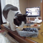 ヤオヨシ - 食べてみた