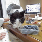 ヤオヨシ - 食べてみた