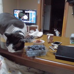 ヤオヨシ - 食べてみた