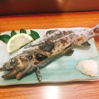 千々石 やまめの里_0