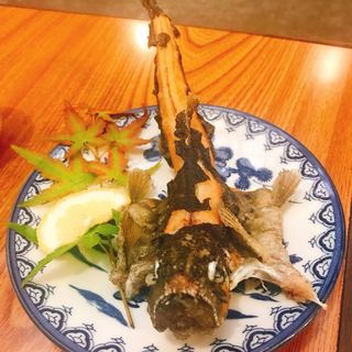 千々石 やまめの里_1