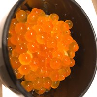 西麻布 拓 - 