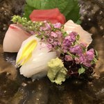 旬菜山﨑 - お造り