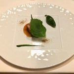 イル プレージョ - 北海道産鴨胸肉のロースト 葱と大葉