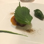 イル プレージョ - 北海道産鴨胸肉のロースト 葱と大葉