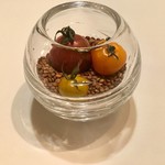 イル プレージョ - 鑑賞用トマト