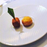 ロドラント ミノルナキジン - 