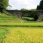 おちかラーメン - 通潤橋も見学してきました。手前の黄色に見えるのは、花ではなく稲穂です。