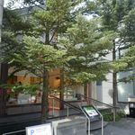 先日、猛烈な暑さの京都に上洛しました。ちょうど北山エリアに行く機会があったので、「マールブランシュ　北山本店」へ。