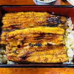 川蝉 - 希少食材なのに大判だ！