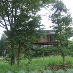 BISTY - 駐車場から見る店の外観、まるで森の中