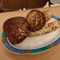山玄茶 - 
