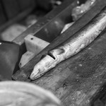 うを徳 - 雲州（いづも）宍道湖（しんじこ）の鰻（むなぎ）、三百廿匁（≒1.2kg）