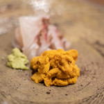 うを徳 - 蝦夷（えぞ）利尻（りしり）の蝦夷紫海膽（むらさきうに）