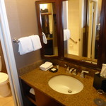 Sheraton Park Hotel at the Anaheim Resort - 