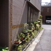 みかわ 是山居 - 住宅街の中に不意に現れるアーティスティックな外観