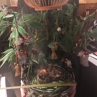 龍吟 - 