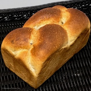 鎌倉トキワパン_0