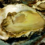 酒徒庵 - 徒庵　　岩牡蠣