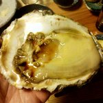 酒徒庵 - 徒庵　　岩牡蠣