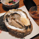 竹寿し - 岩牡蠣