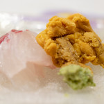 うを徳 - 2018.9 お造り（明石の鯛、利尻ムラサキウニ）