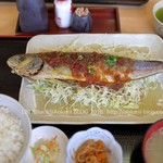 おさかな倶楽部 - 