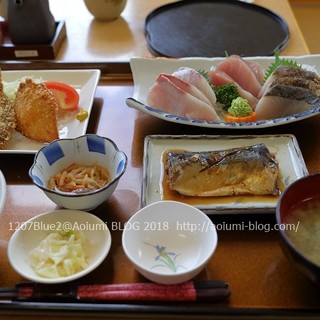 おさかな倶楽部_1