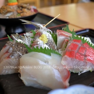 おさかな倶楽部_0